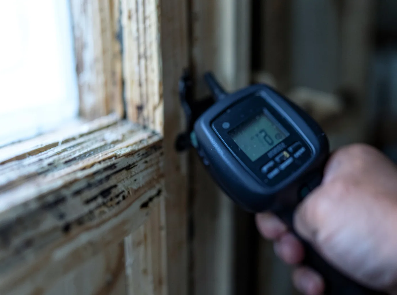 Moisture Inspection And Documentation in Richardsville, VA